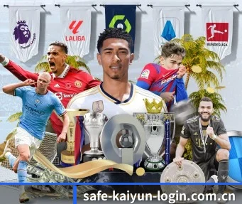 开云·体育(官网)APP下载 - KAIYUN SPORTS APP